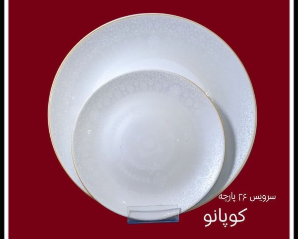 خرید سرویس آرکوپال 26پارچه گلدار - تصویر 5