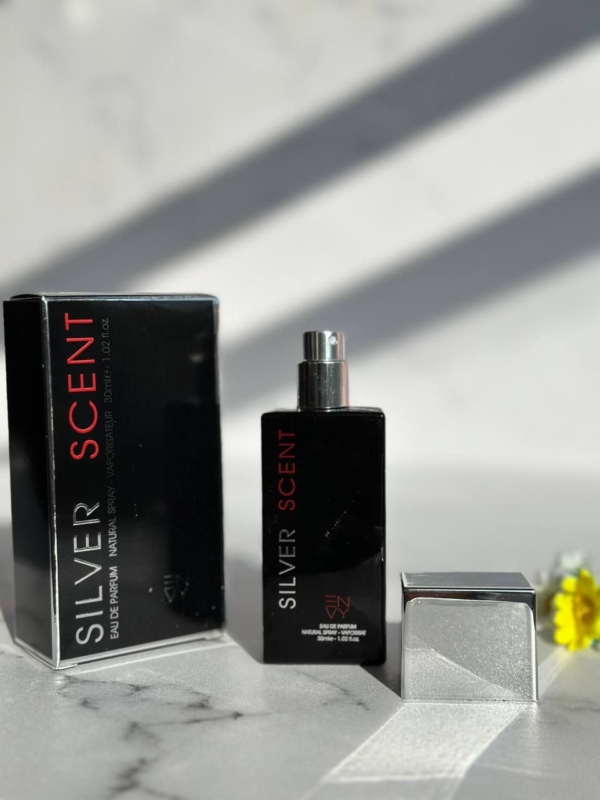عطر جیبی سیلور سنت برند ان وی🖤