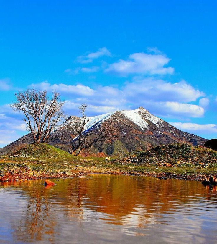 چرا مردم ایران بانه را برای خرید لوازم خانگی انتخاب می‌کنند؟