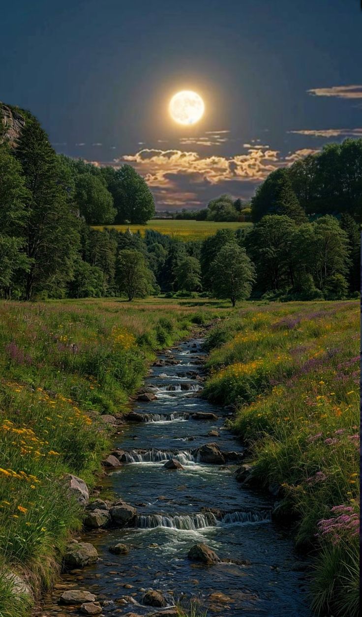 چطور لوازم خانگی بانه را با بررسی خدمات پس از فروش بخریم